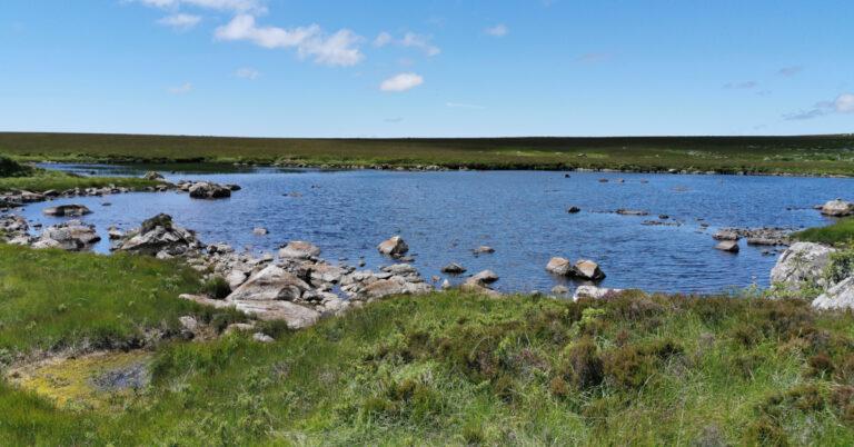 Locháin Phortaigh